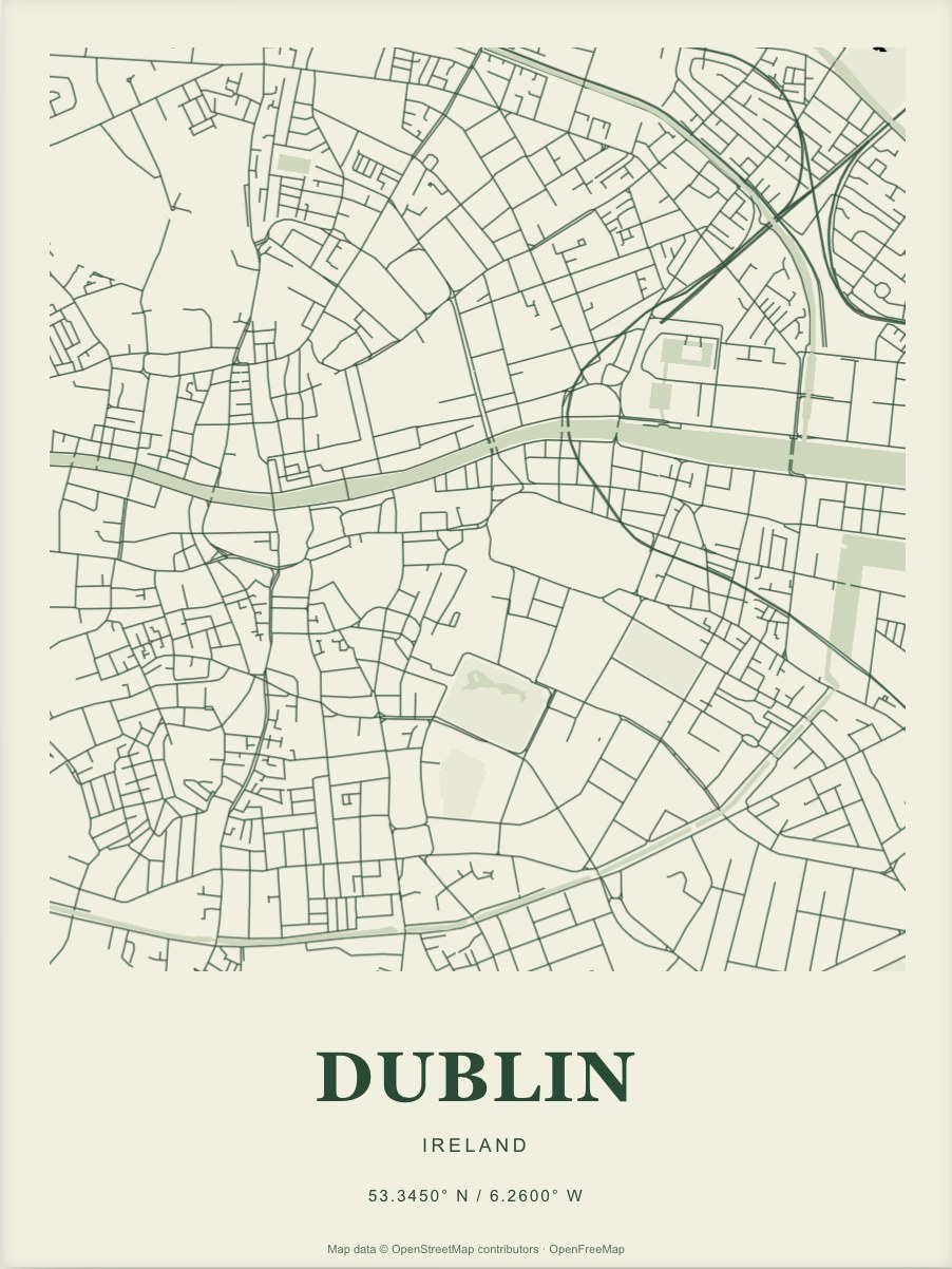 Dublin street map print in Forest
