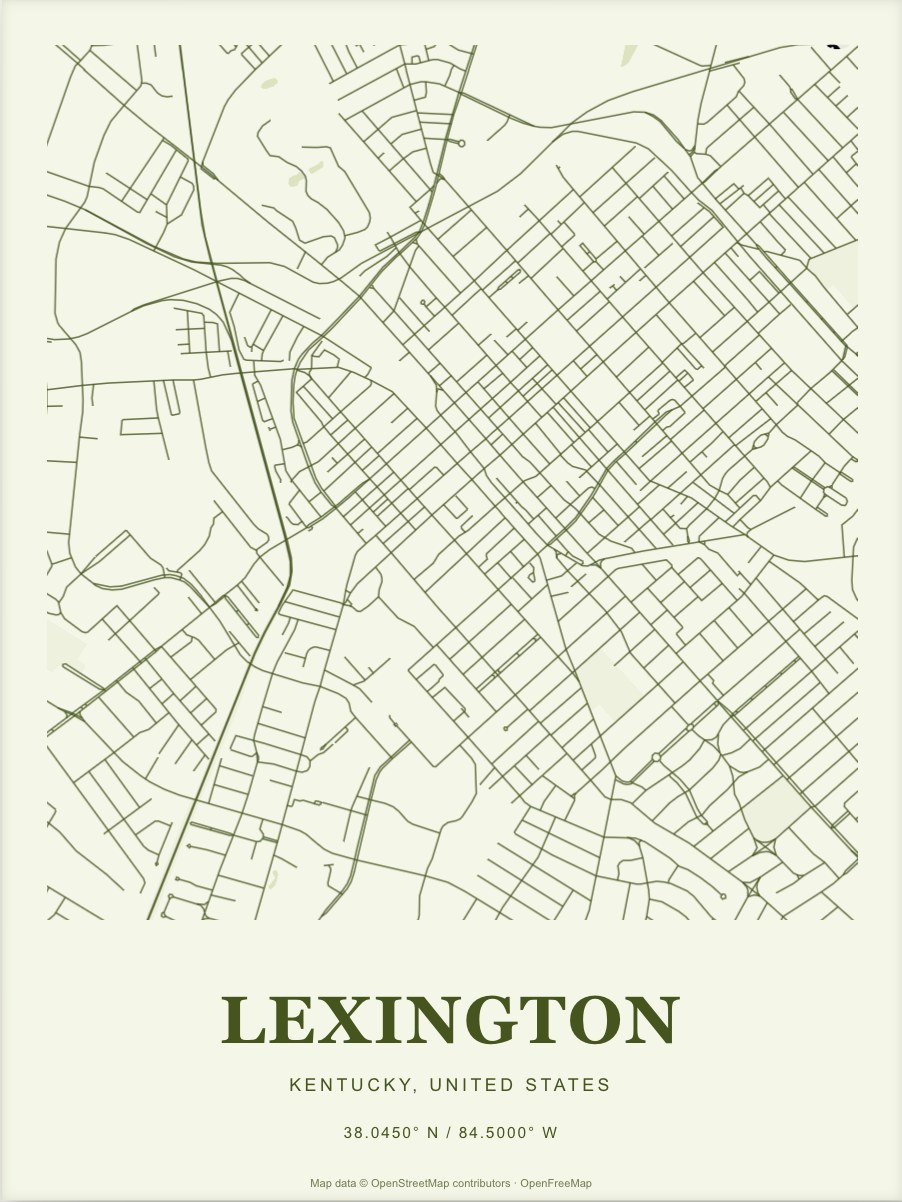 Lexington street map print in Moss