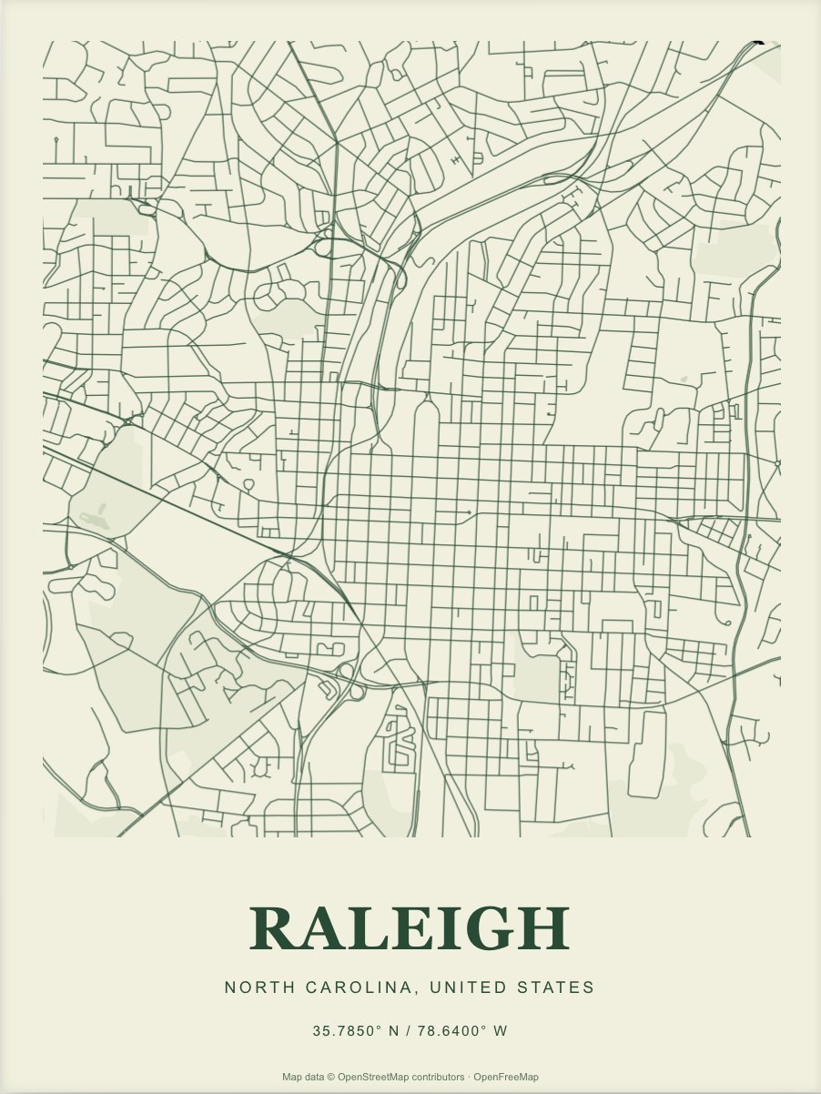 Raleigh street map print in Forest